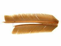 Hareline Dubbin Plumes Turkey Biot Quills