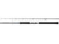 Canne Shimano Salty Advance Spinning 3.05m 10'0" Shore JIG100g 2pc