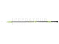 Canne Mikado NSC Big Fish Pole 6.00m 5-20g