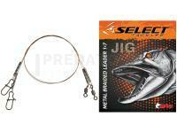 Stainless Steel Leader Wire Select JIG 1x7 25cm 7kg