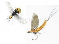 J:son Sweden J:son Hatch Pack - 2-pack