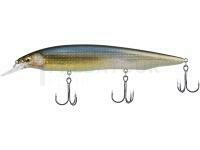 Megabass Kanata+1