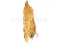 Metz Cock Half Neck #2 - 1/2 Barred Ginger