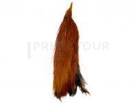 Metz Cock Half Neck #2 - 1/2 Brown