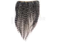 Ewing Middle Dyed Over Grizzly - Medium Dun