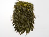 Hareline Dubbin Hen Saddle - 179 Grizzly Dyed Olive