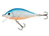 Jaxon Karas 7.5cm F Color NL