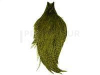 Cou Keough Tyer`s Grade Cape - Grizzly Dyed Olive