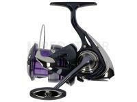 Moulinet 24 Prorex X LT 2000