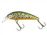 Leurre Krakusek NR.6 4,5cm floating - TRP