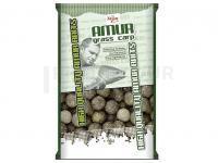 Carp Zoom Amur Big Catch Boilies