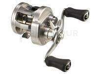 Moulinet casting Daiwa 26 Ryoga 100L