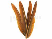 Wapsi Plumes Duck Wing Quills