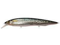 Leurre Megabass Kanata SW 160mm 31g - FA SABA