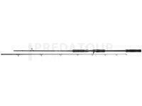 Canne Mikado Bixlite Power Cast 2.40m 25-75g