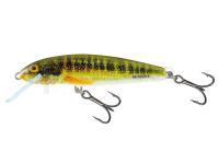 Leurre Salmo Minnow M6S 6cm - Holo Real Minnow (HRM)