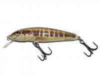 Leurre Salmo Minnow M7F - Minnow