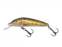 Leurre Salmo Minnow M7F - Trout