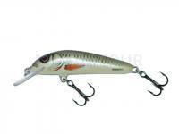 Leurre Salmo Minnow M7S - Dace