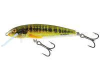 Leurre Salmo Minnow M7S - Holo Real Minnow