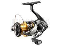 Les nouveautés de Dragon, Shimano, Prologic 