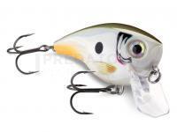 Des nouvelles de Rapala, Illex, Gunki, Preston, Jaxon !