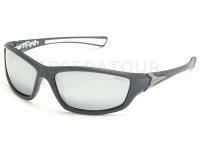 Lunettes polarisantes Solano FL 20056D