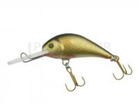 Leurre Gloog Parys 40NF - NG