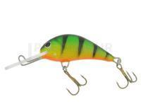 Leurre Gloog Parys 50NF - TGF