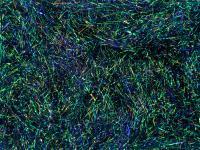 Peacock Dubbing - Dark Violet / Red Effect