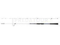 Canne Penn Battalion III Hitotsu Tenya 2.48m max 65g