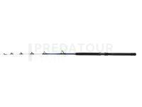 Canne Penn Battalion III Trolling Casting 1.68m 20-50lb