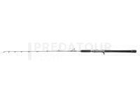 Canne Penn Battalion Solid Boat Spiral Jig F 5ft6/1.70m 500g 1Sec Conv