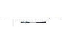 Canne Penn Battalion Solid Jigging Casting Rod 1.91m 200g