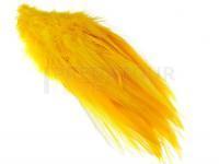 Rooster Saddle Feather - Gold