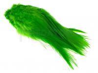 Rooster Saddle Feather - Green Highlander