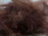 Plumes FMFly Goose CDC 1G - Dyed Brown