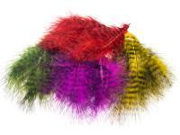 FMFly Plumes Grizzly Marabou