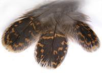 Veniard Plumes - Woodcock, Grouse