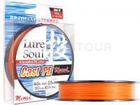 Momoi Tresses Lure Soul Cast P.E