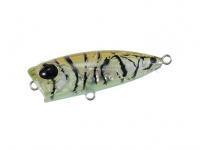 Leurre Duo Tetra Works PocoPoco F | 40mm 3g | 1-5/8in 1/10oz - CTA0375 Tiger Shrimp