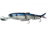 Leurre Headbanger Spitfire 11cm 17g - Natural Shad