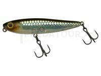 Leurre Illex Chubby Pencil 55 | 55mm 3.1g - HS Ghost Minnow