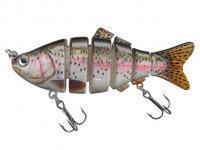 Leurre Jenzi Jeronimo Junior 10cm 17g - Rainbow-Trout