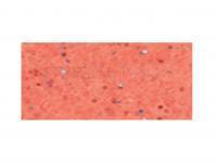 Leurre Souple Tiemco PDL Locoism LinkIn Shad 3 inch | Shrimp Flavor - 156 Non-Salty