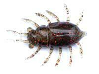 Leurres FishUp Maybug 1.3" #019 - Motor Oil/Red