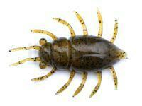 Leurres FishUp Maybug 1.3" #074 - Green Pumpkin Seed