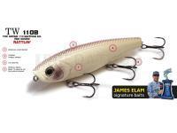 Molix Leurres durs Top Water 110 Baitfish Super Sound TW 110B