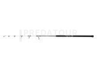 Canne Penn Battalion III Pro Jigging Spinning 1.60m 50-80lb