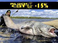 -15% de remise sur Black Cat, Quantum et DAM ! Moulinets Shimano Stella FK presque 30% de réduction !